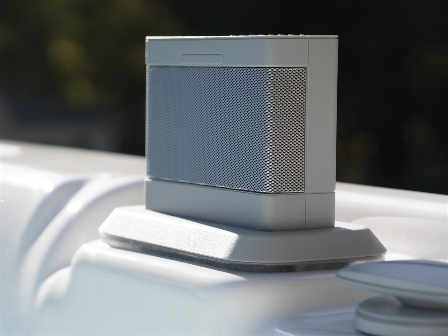 Bluetooth® Entertainment System